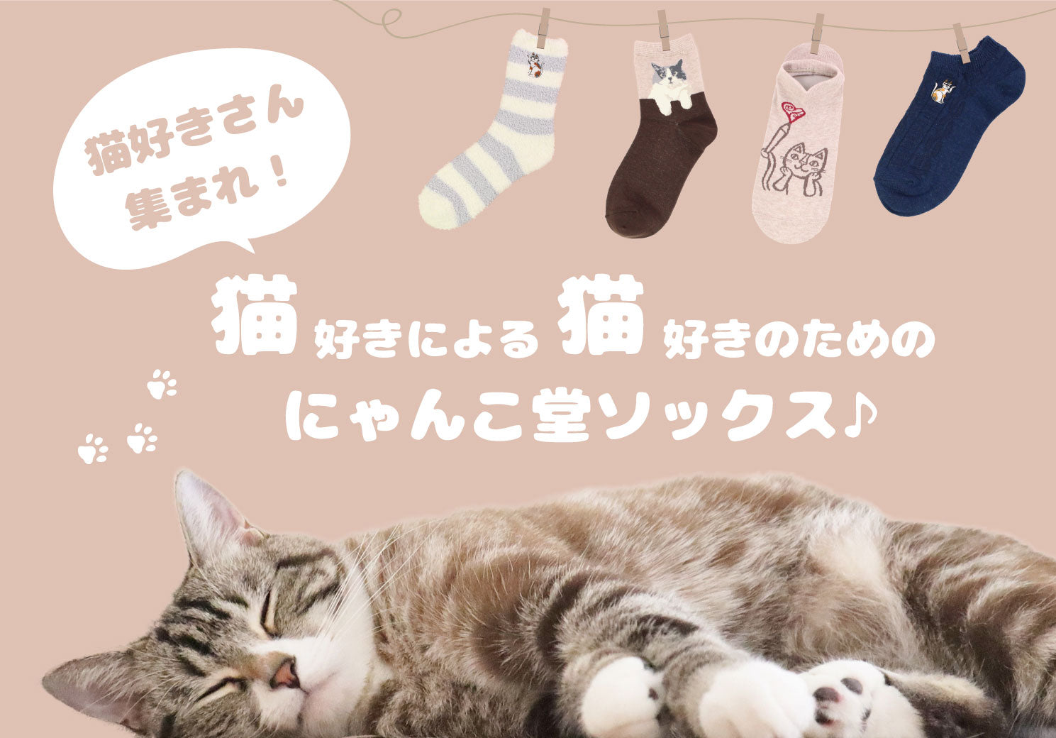 関西の猫好きさん専用 にゃんこ堂ソックス♪猫好きによる猫好きのためのソックス｜SUKENO