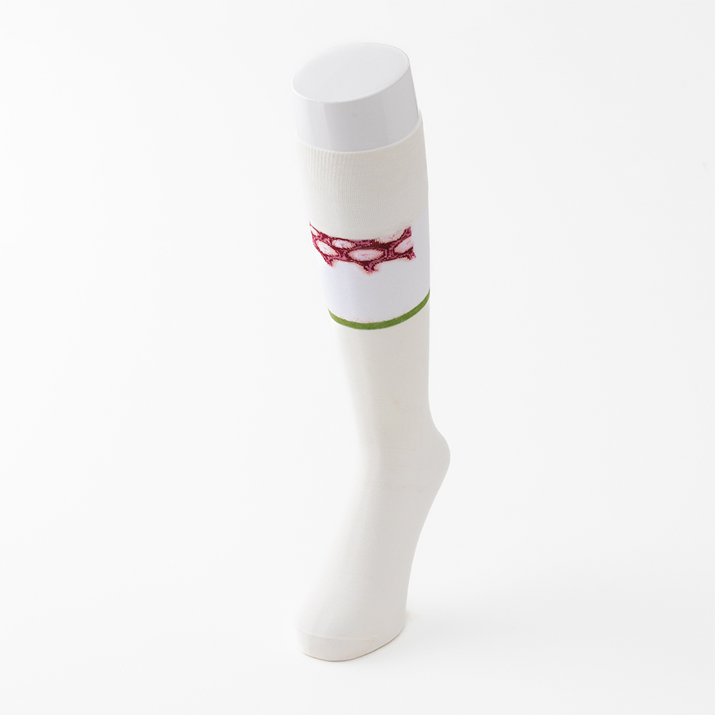 寿司そっくす】タコ寿司 – SUKENO｜靴下の助野