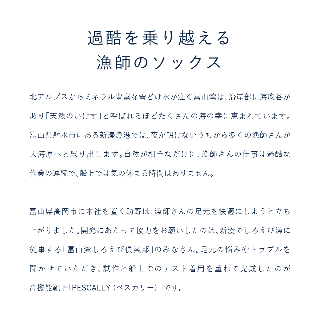 【PESCALLY】和紙パイルラインソックス 25cm-27cm