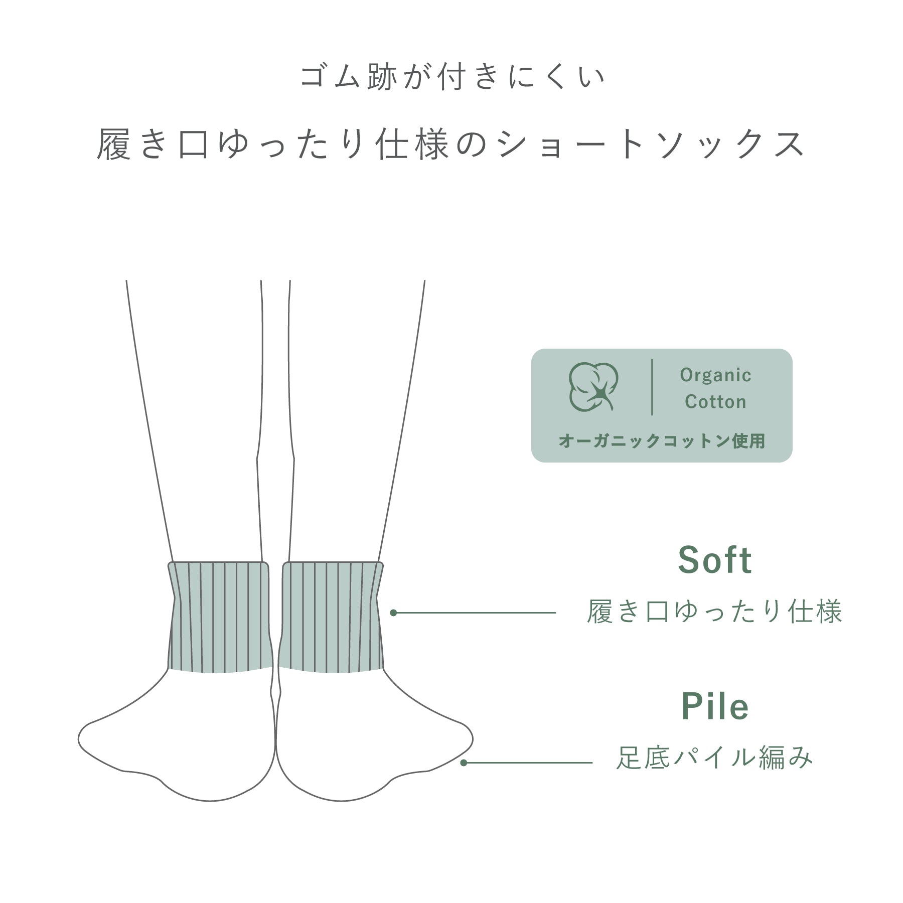 KALMERA】ショートソックス 23cm-25cm – SUKENO｜靴下の助野