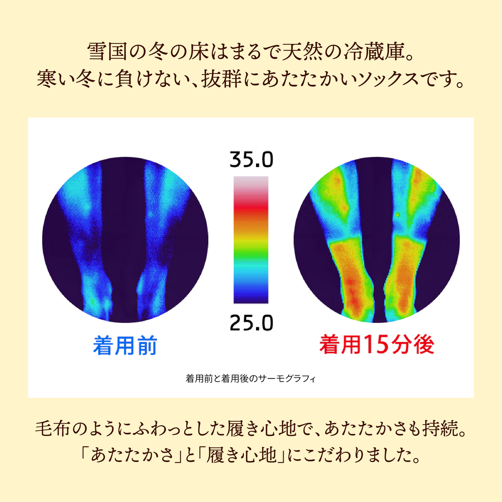 【足元らくらく】光電子毛布ソックス 22-25cm