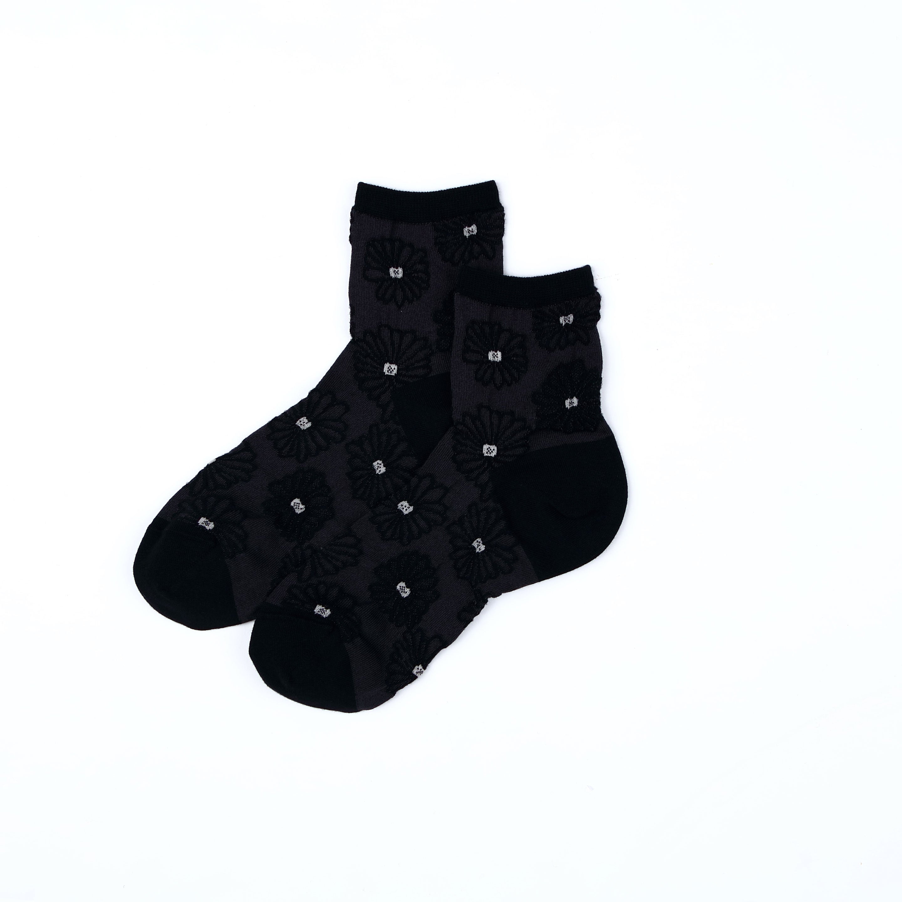 23062225.jpg?v=1748499717&