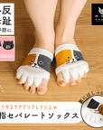 【にゃんこ堂】足指セパレートストレッチソックス