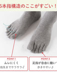 【足元らくらく】ゴムなし ５本指ソックス 22-24cm