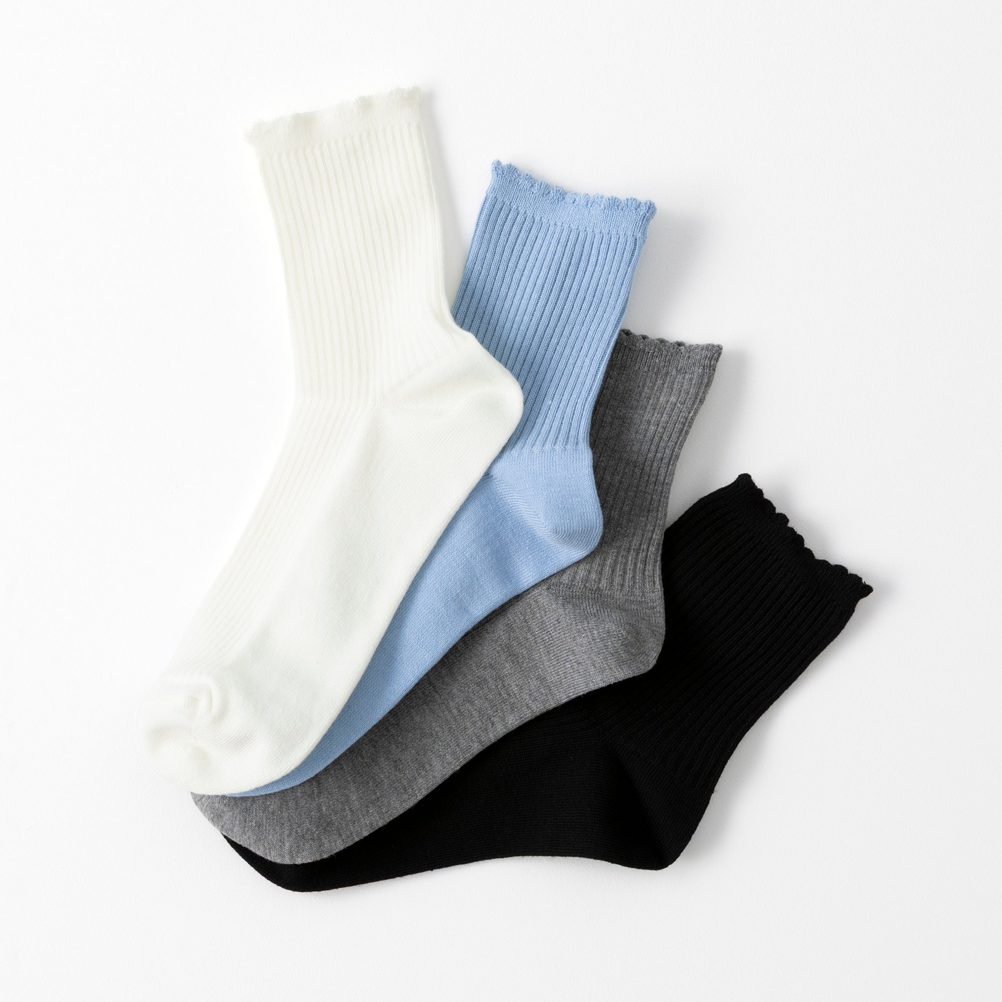 【A.V.V】カラースカラップリブクルーソックス