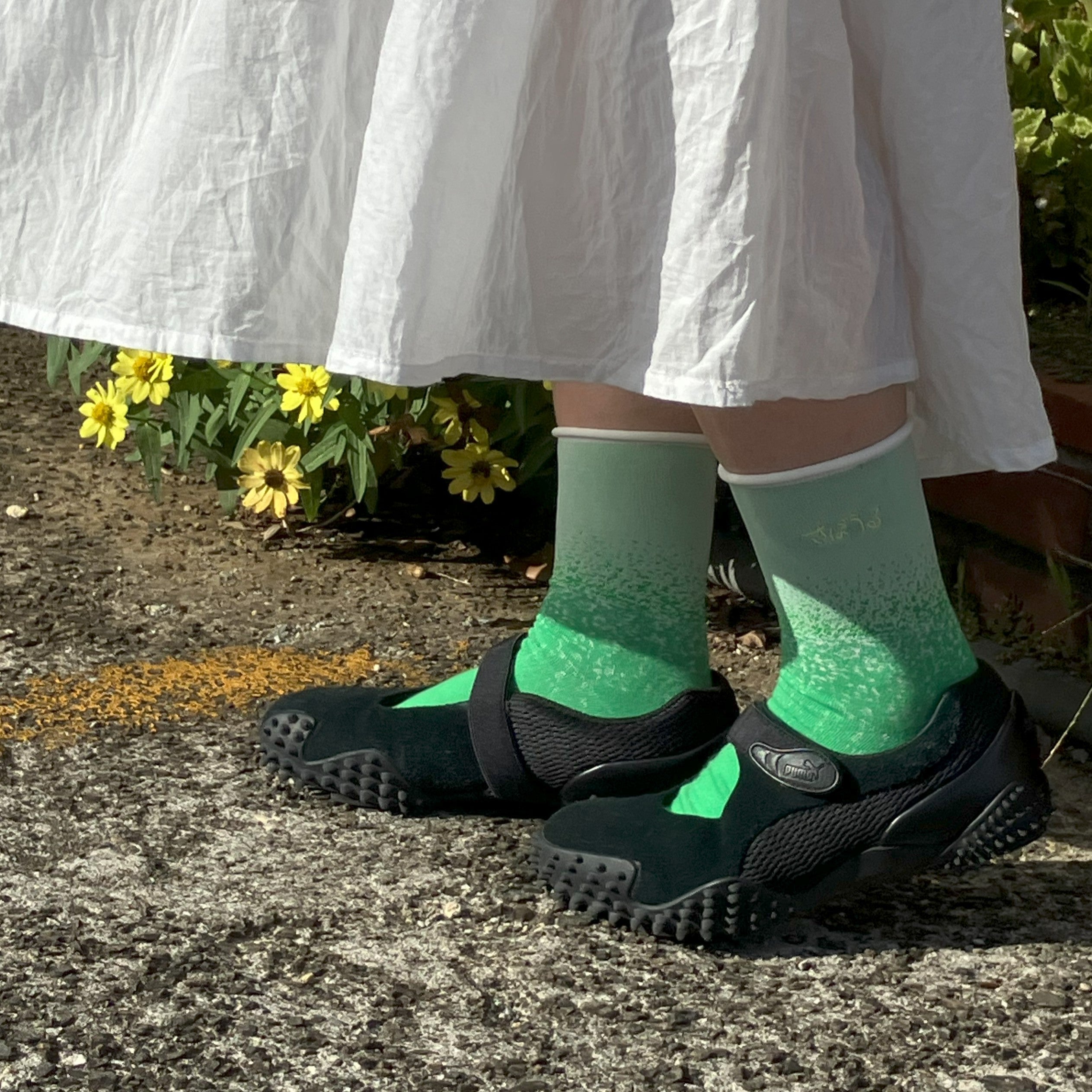 さぼうる】グラデーションクリームソーダソックス – SUKENO｜靴下の助野