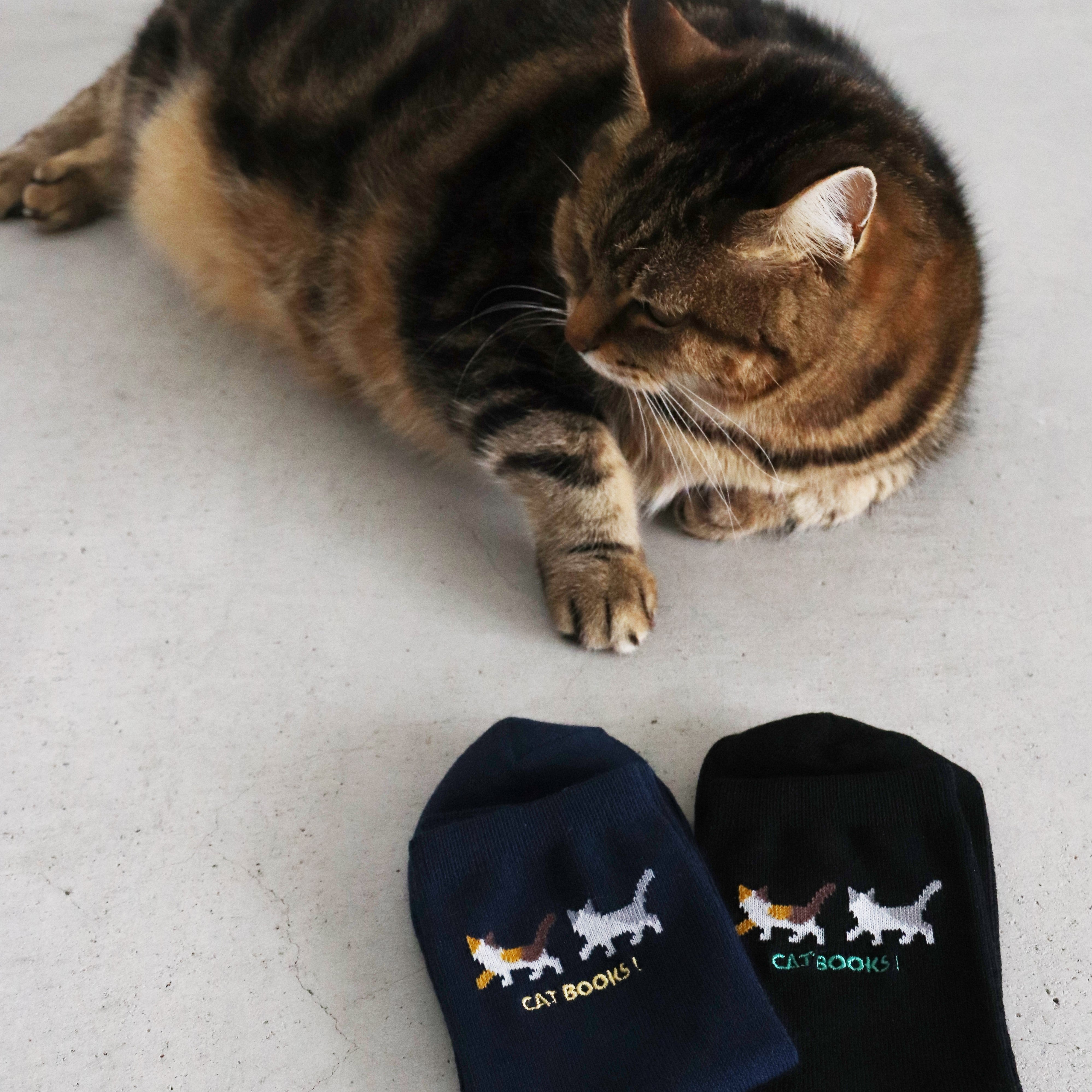 楽天市場】にゃんこ先生ブローチの通販