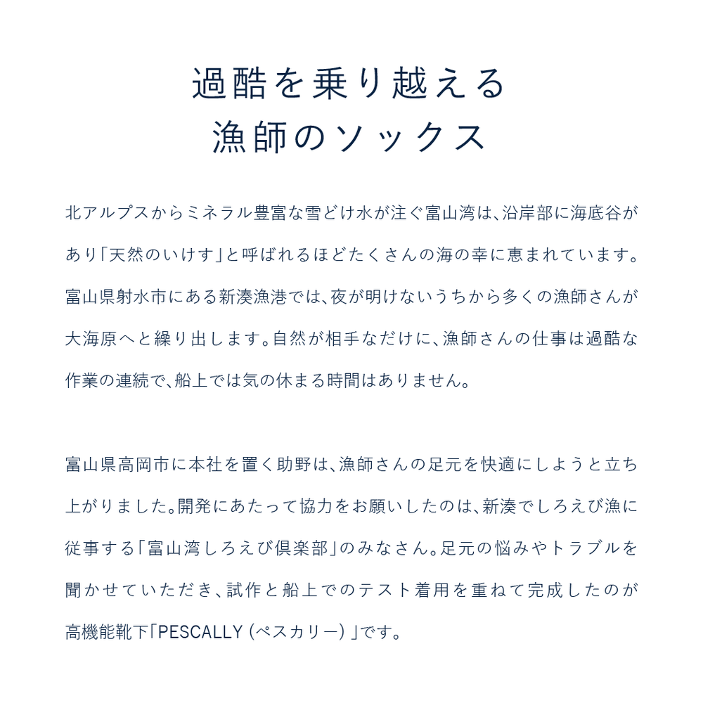 【PESCALLY】和紙パイルラインソックス 27cm-29cm